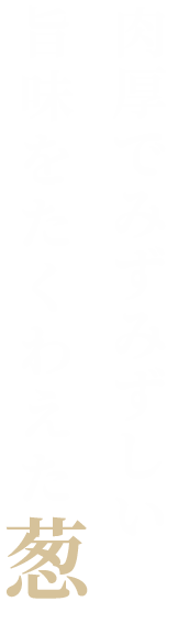 肉厚でみずみずしい旨味をたくわえた葱